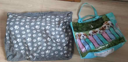 Photo of free Puppy / small dog bundle (EH5, Granton, Edinburgh) #3