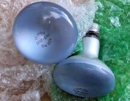 Photo of free Many light bulbs! #6/7 grow lights (Davis/Teele Square area) #2