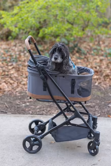 Photo of Dog pram (King's Cross N1C) #2