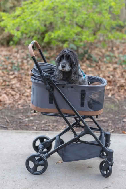 Photo of Dog pram (King's Cross N1C) #2