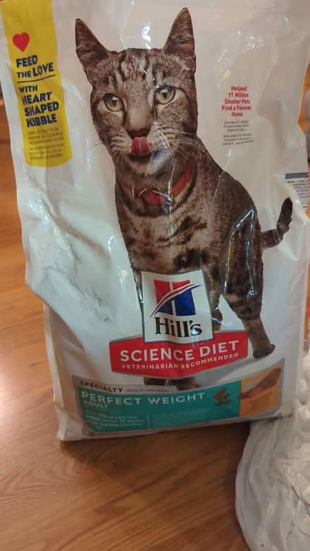 Photo of free cat food (downtown sunnyvale) #1