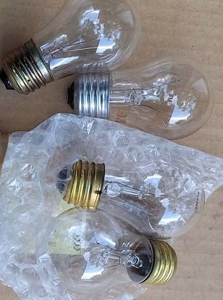 Photo of free Many light bulbs #7/7 miscellaneous (Davis/Teele Square area) #4