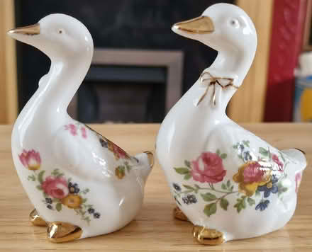 Photo of free Decorative Ducks (Lower Place OL16) #4