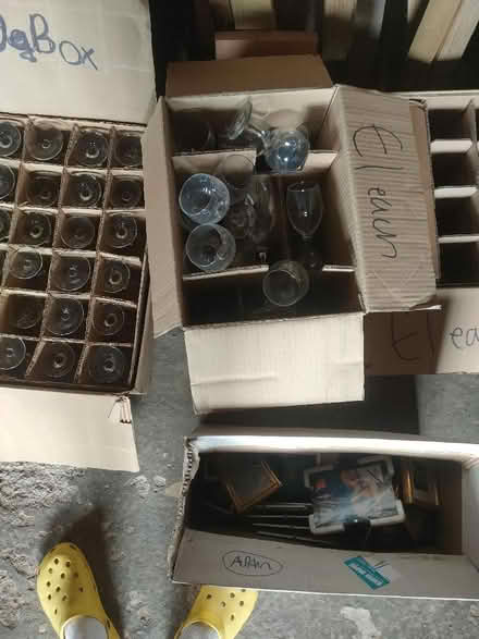 Photo of free Glasses (PL21) #2