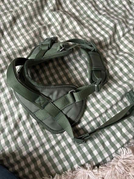 Photo of free Dog harness (Chesterfield S40) #1