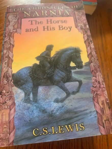 Photo of free Chronicles of Narnia book bundle (Southend on sea SS1) #1