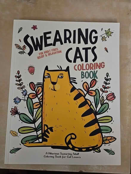 Photo of free coloring book (contains swearing) (North Denton (288 & 2164)) #1