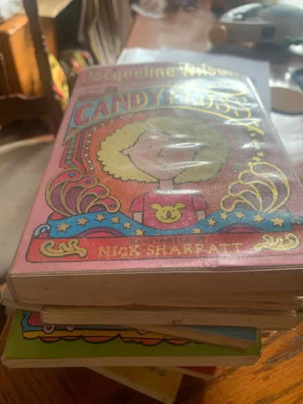 Photo of free Jacqueline Wilson book bundle (Southend on sea SS1) #1