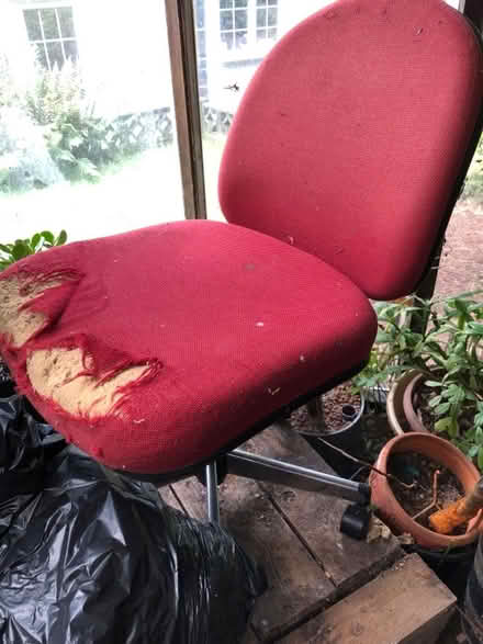 Photo of free Office chair (Calstock PL18) #3