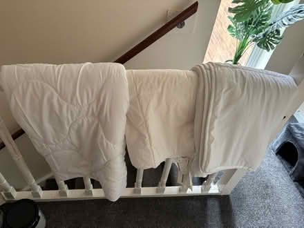 Photo of free Three cot bed duvets (Crown Wood RG12) #1