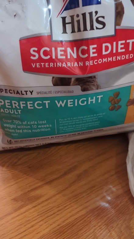 Photo of free cat food (downtown sunnyvale) #2