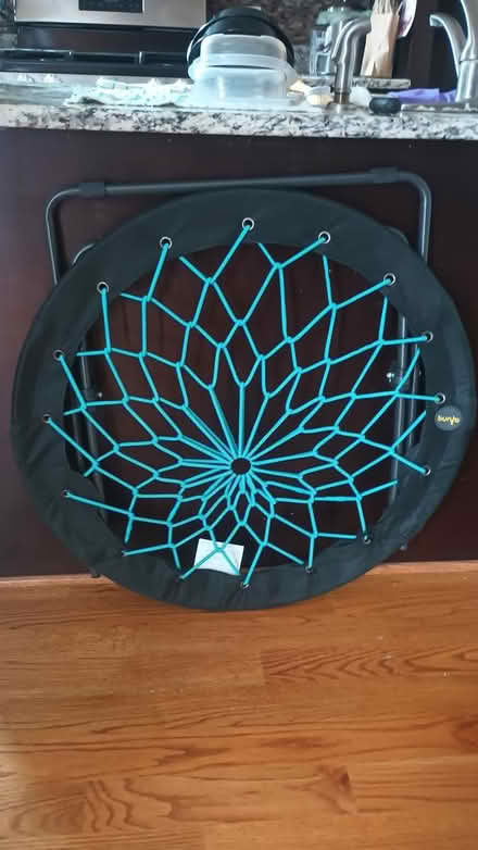 Photo of free Folding Bungee Chair (Park View) #2