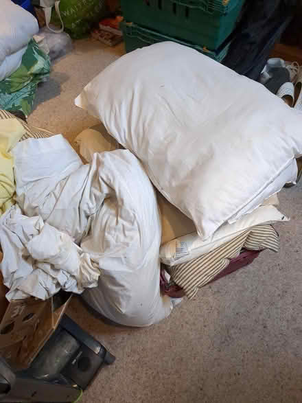 Photo of free Pillows - Feather and not (Liphook GU30) #1