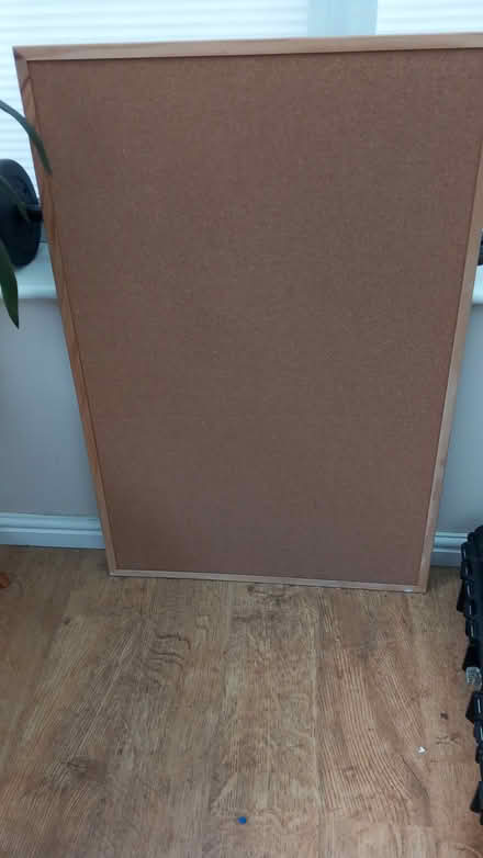 Photo of free Cork pinboard, 57cm X 87cm (Heybridge CM9) #1