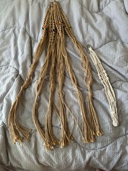Photo of free Plant Hanging ! (Portsea PO1) #1