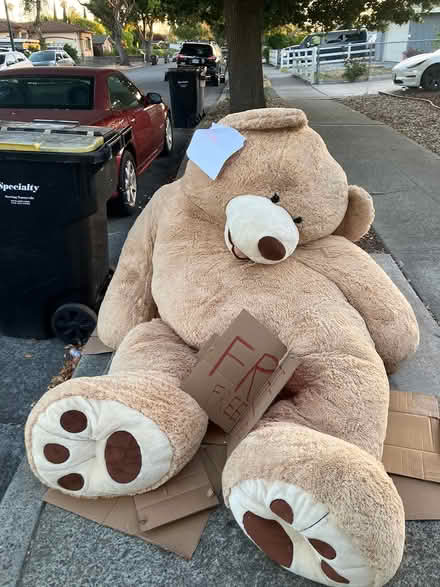 Photo of free Giant stuffed bear (Lakewood Village) #1