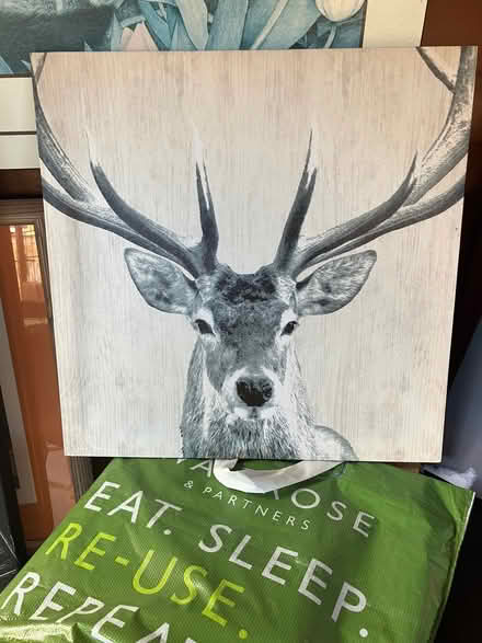 Photo of free Stretched Canvas prints (Old Windsor SL4) #2