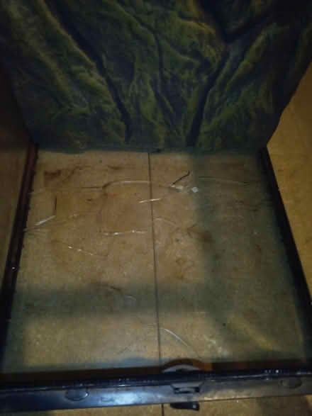 Photo of free Reptile cabinet (Penisarwaun LL55) #2