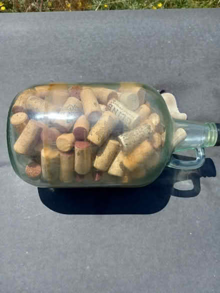 Photo of free Dry used wine corks (Myrtletown) #2
