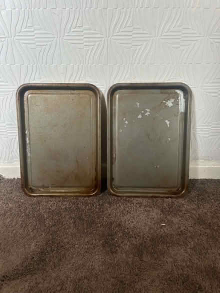 Photo of free Oven trays (S2 Manor Park) #1