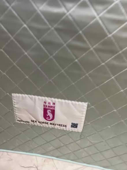 Photo of free Single Bed Frame+Seahorse Mattress (Chinatown) #3