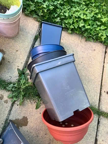Photo of free Selection of plant pots (Marsh LA1) #3