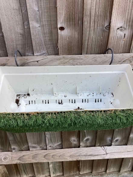 Photo of free Flower Container (Stoneham SO50) #3