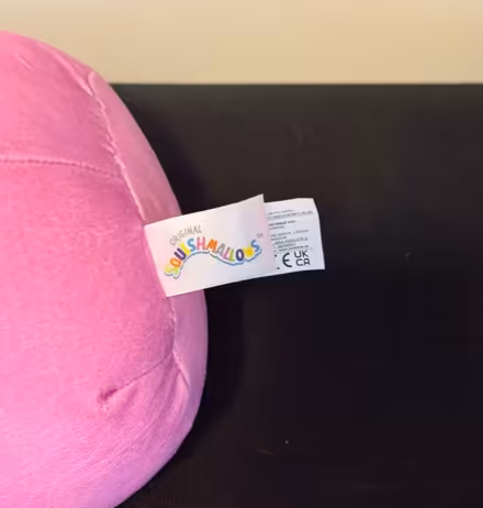 Photo of free Becki Squishmallow (ridgewood) #2