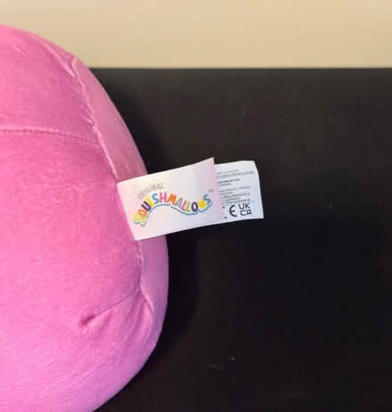 Photo of free Becki Squishmallow (ridgewood) #2