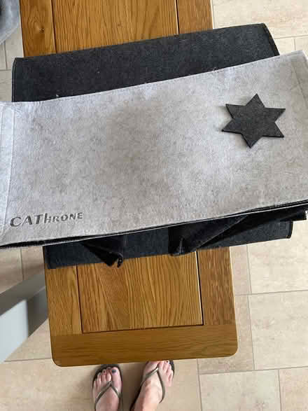 Photo of free Felt cat house - foldable (Off Chignal road CM1) #4
