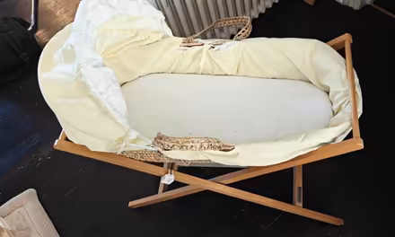 Photo of free Newborn Bassinet (W12) #2