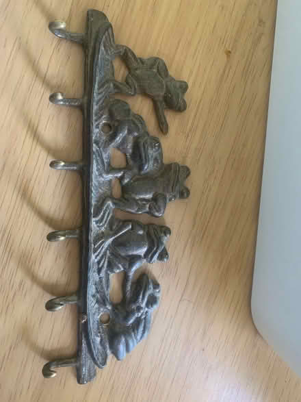 Photo of free Brass Frog key holder (Paulsgrove PO6) #1