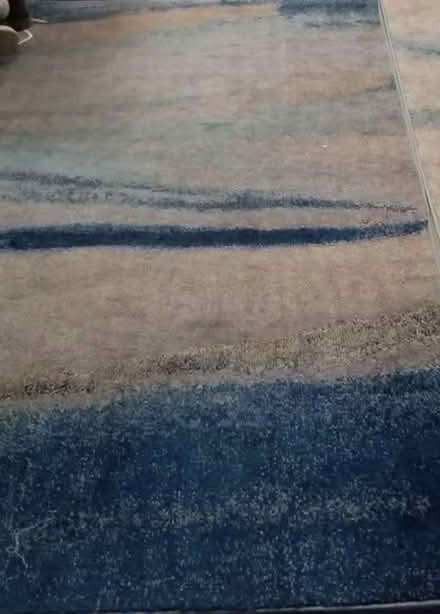 Photo of free 5x7 rugs (Lawrence & 101) #1