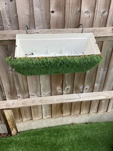 Photo of free Flower Container (Stoneham SO50) #2