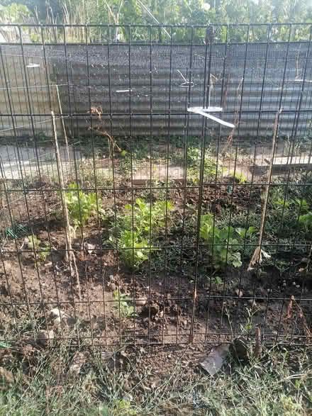 Photo of Dog Pen (Enfield EN2) #2