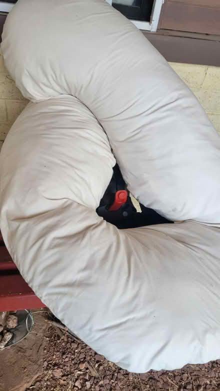 Photo of free Pregnancy pillow (Rio Grande and Indian School) #1