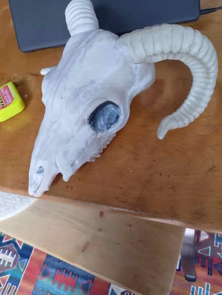 Photo of free Ram skull Hanging (plastic) (Barry) #2
