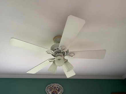 Photo of free 3 White Ceiling Fans (Wauconda) #1