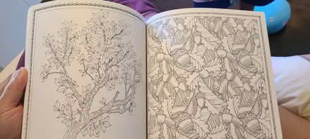 Photo of free Colouring book (Mavis and burnhamthorpe) #4