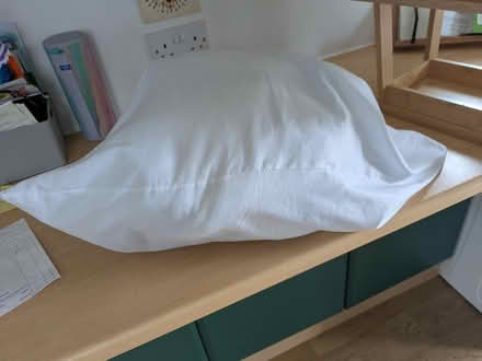 Photo of free White Pillow (S2, Heeley) #1