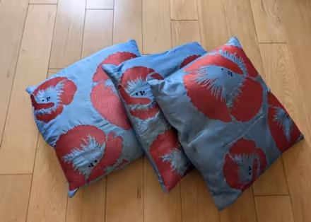 Photo of free 3 cushions (Ballinteer) #1