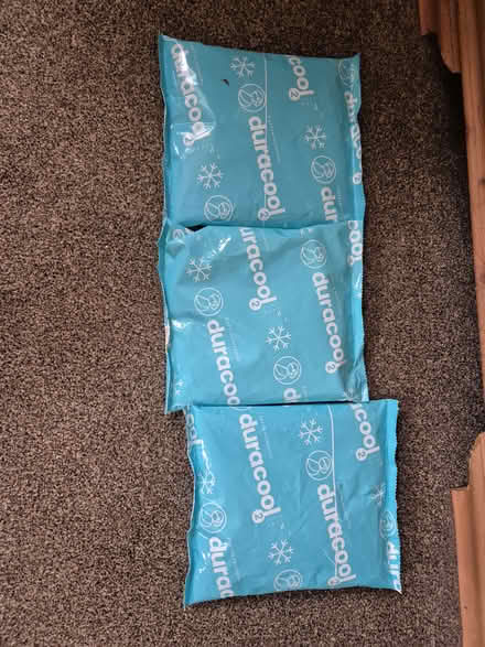 Photo of free duracool freezer bags (Ruishton, Taunton) #1