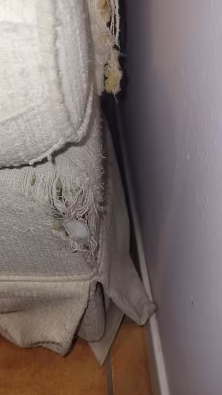Photo of free White arm chair/rocker (Rio Grande and Indian School) #3