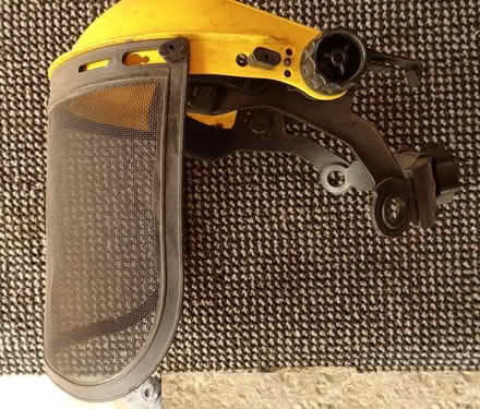 Photo of free Chain saw mask (Pentre Bychan LL14) #2