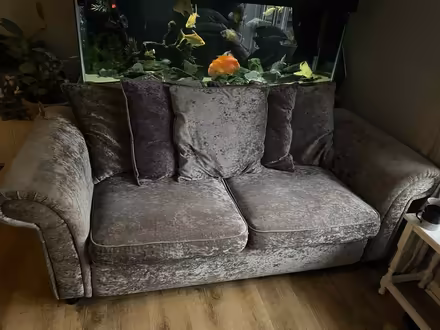 Photo of free Velvet sofas x2 (Norwich) #1