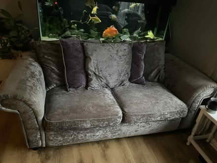 Photo of free Velvet sofas x2 (Norwich) #1