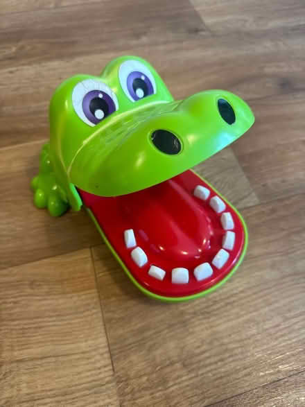 Photo of free Crocodile dentist game (Billericay CM12 Queens Park) #1