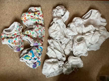Photo of free Potty training pants (Fulbourn) #1