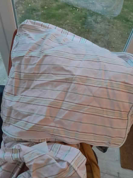Photo of free IKEA Jennylund Armchair cover (Earley RG6) #2