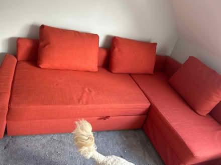 Photo of free Sofa bed (B72) #2